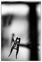V - Solitaria compagnia